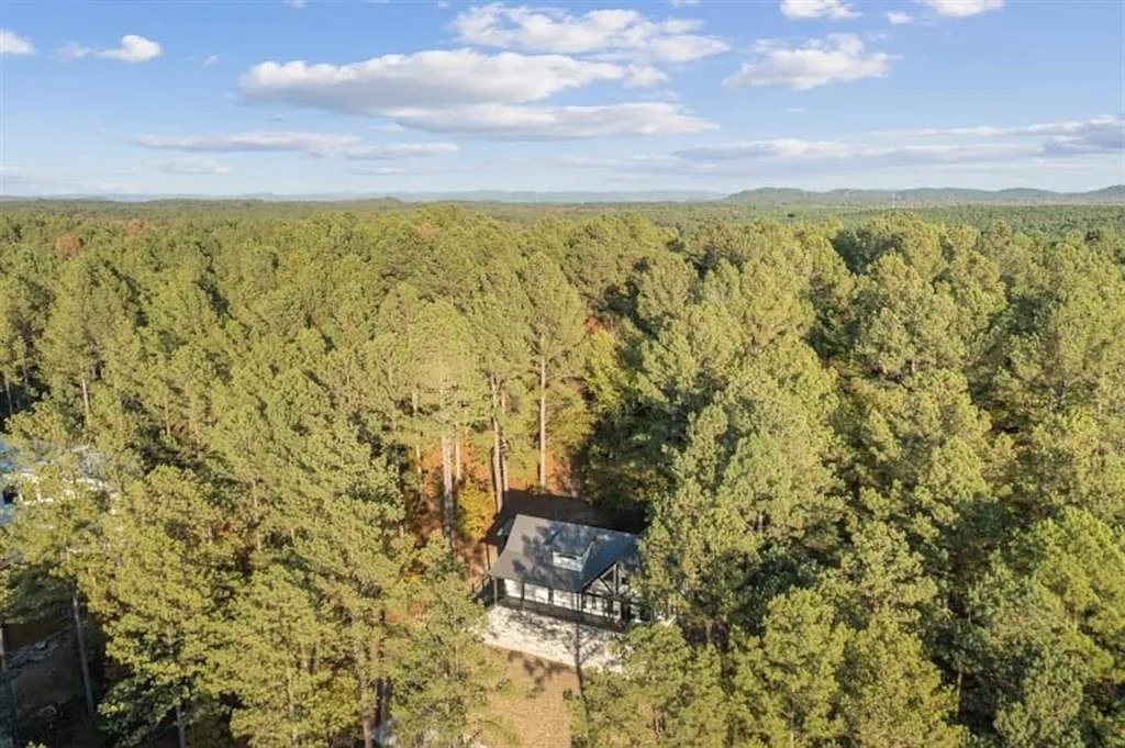 Aerial forest view